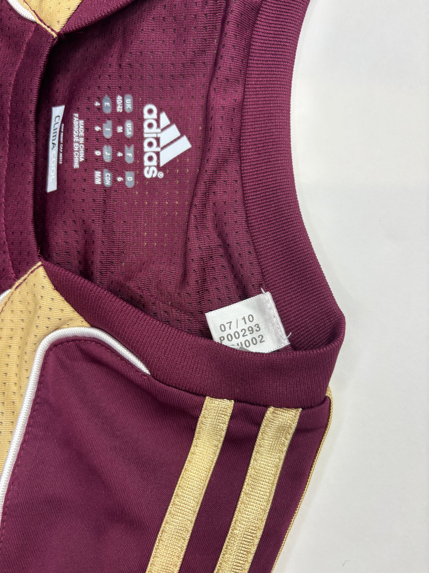 Lyon Training Shirt 2010/11 (L)